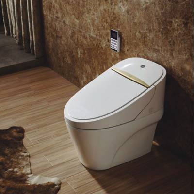 Inteligentna toaleta z funkcją bidetu <b>Tejjer TA-550ZA</b> ze zdalnym panelem sterowania