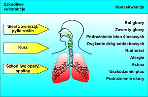Wpływ zanieczyszczenia powietrza na zdrowie i samopoczucie. Oczyszczacze powietrza - Hurt Kraków